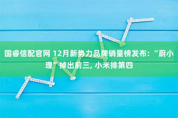 国睿信配官网 12月新势力品牌销量榜发布: “蔚小理”掉出前三, 小米排第四